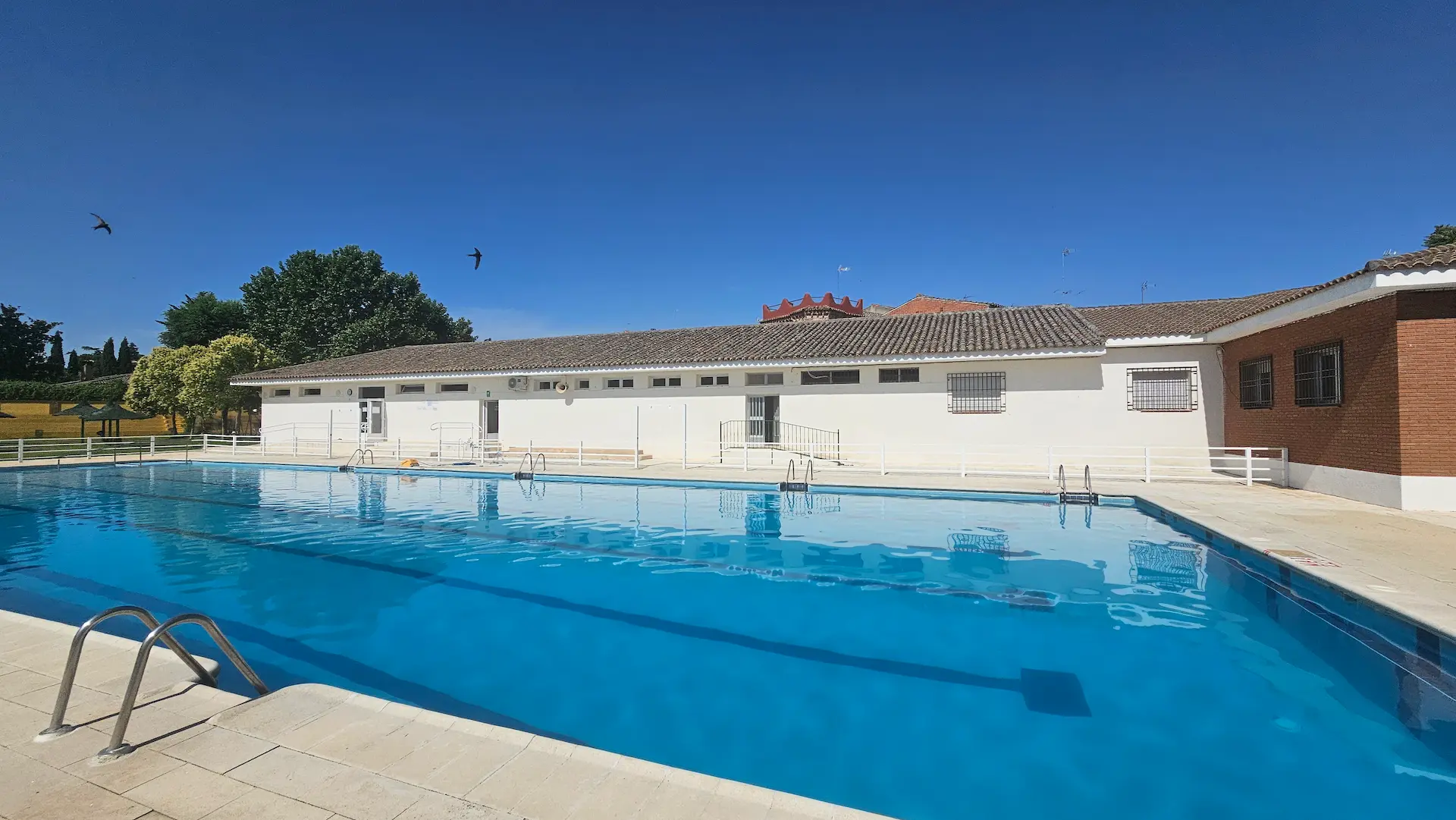 Piscina municipal de Los Navalmorales con césped, sombrillas y bar